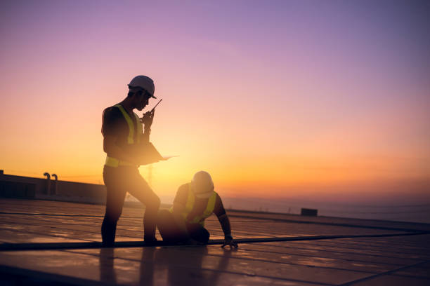 Best Roof Gutter Cleaning  in Blue Ridge, GA