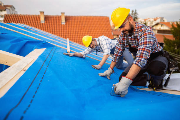 Best Residential Roofing Contractor  in Blue Ridge, GA