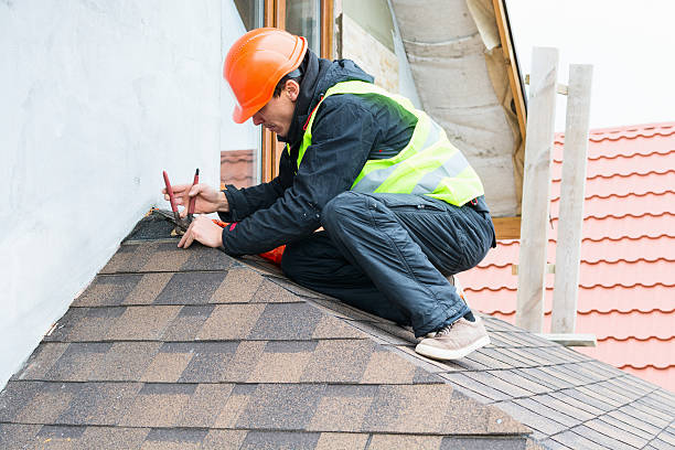 Best Roof Leak Repair  in Blue Ridge, GA