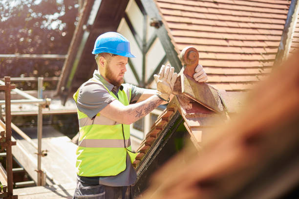 Best Roofing Contractor Near Me  in Blue Ridge, GA